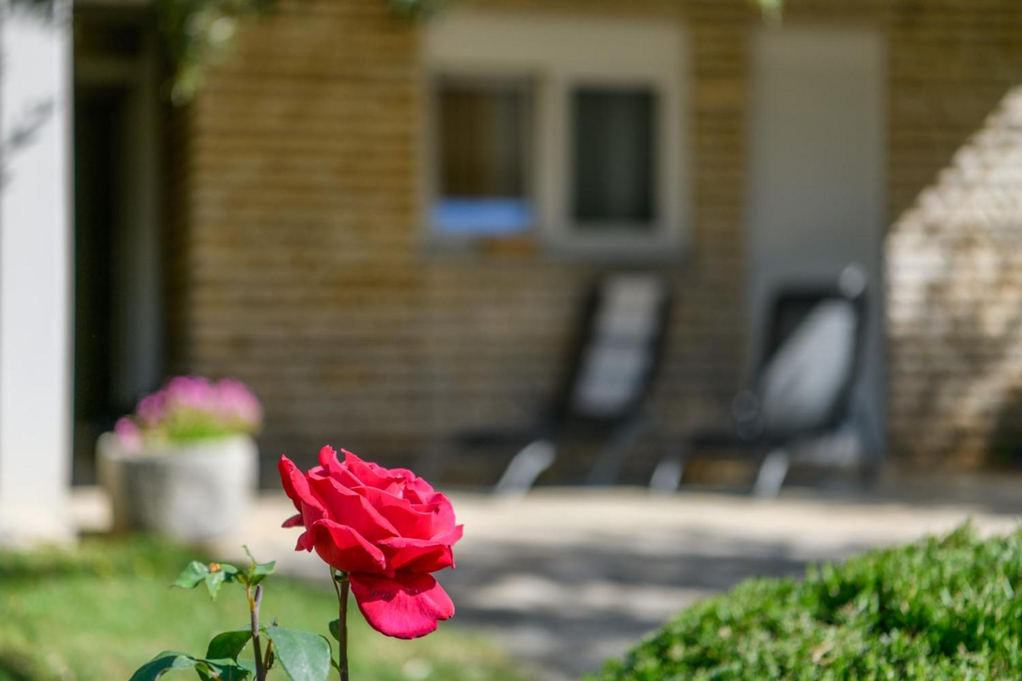Krajcar Daire Banjole Dış mekan fotoğraf